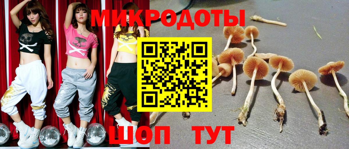 Галлюциногенные грибы MAGIC MUSHROOMS Лянтор